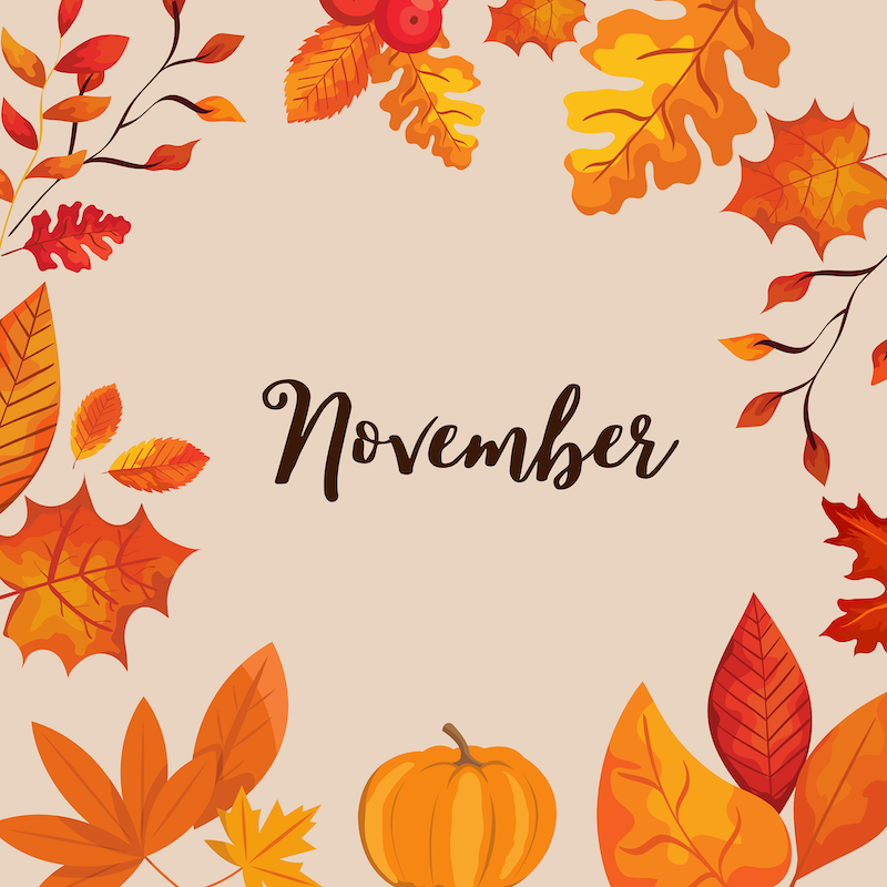 What’s happening in November? 